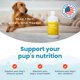 thumbnail image 4 of Vitaminas para perros Paramount Pet Health 946 ml con probióticos, 4 of 9