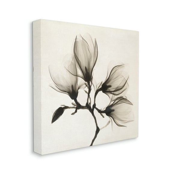 Sepia Tone Tree Blossom Florals Translucent Flowers Botanical & Floral Gallery-Wrapped Canvas Print Wall Art, 17x17