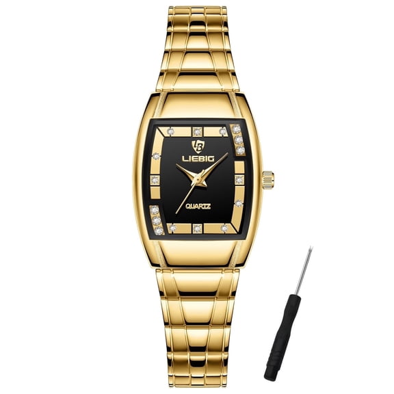 LIEBIG Watches for Women Wrist Watches Waterproof Womens Watch Casual Fashion Simple Square Quartz Wristwatch