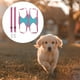 thumbnail image 5 of Hamaca para Perros Y , Soporte para , Hamaca funciones para El atención de Mascotas para Cortar Uñas , Rojo L Azul Rosa Rojo L, 5 of 7