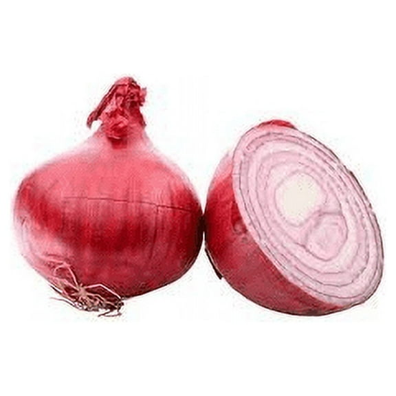 Onion Red Burgundy Great Heirloom Garden Vegetable by Seed Kingdom 1/4 Lb Seeds