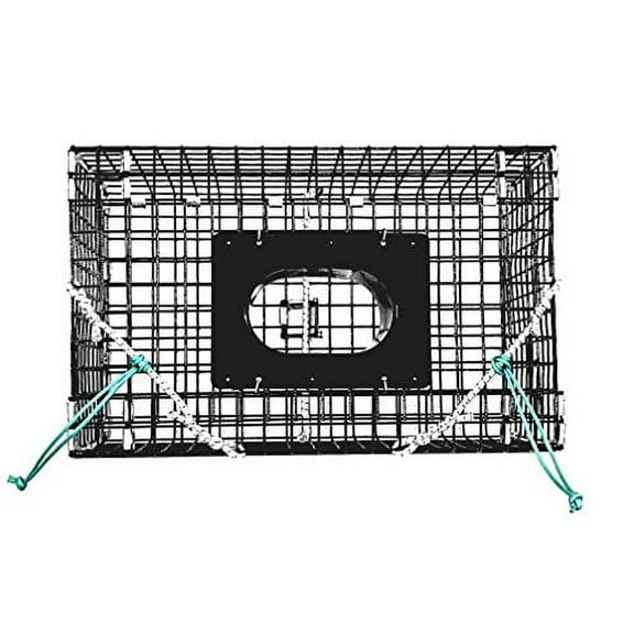 Ketcham Supply PVC Coated Wire Mesh Small Green Crab Trap