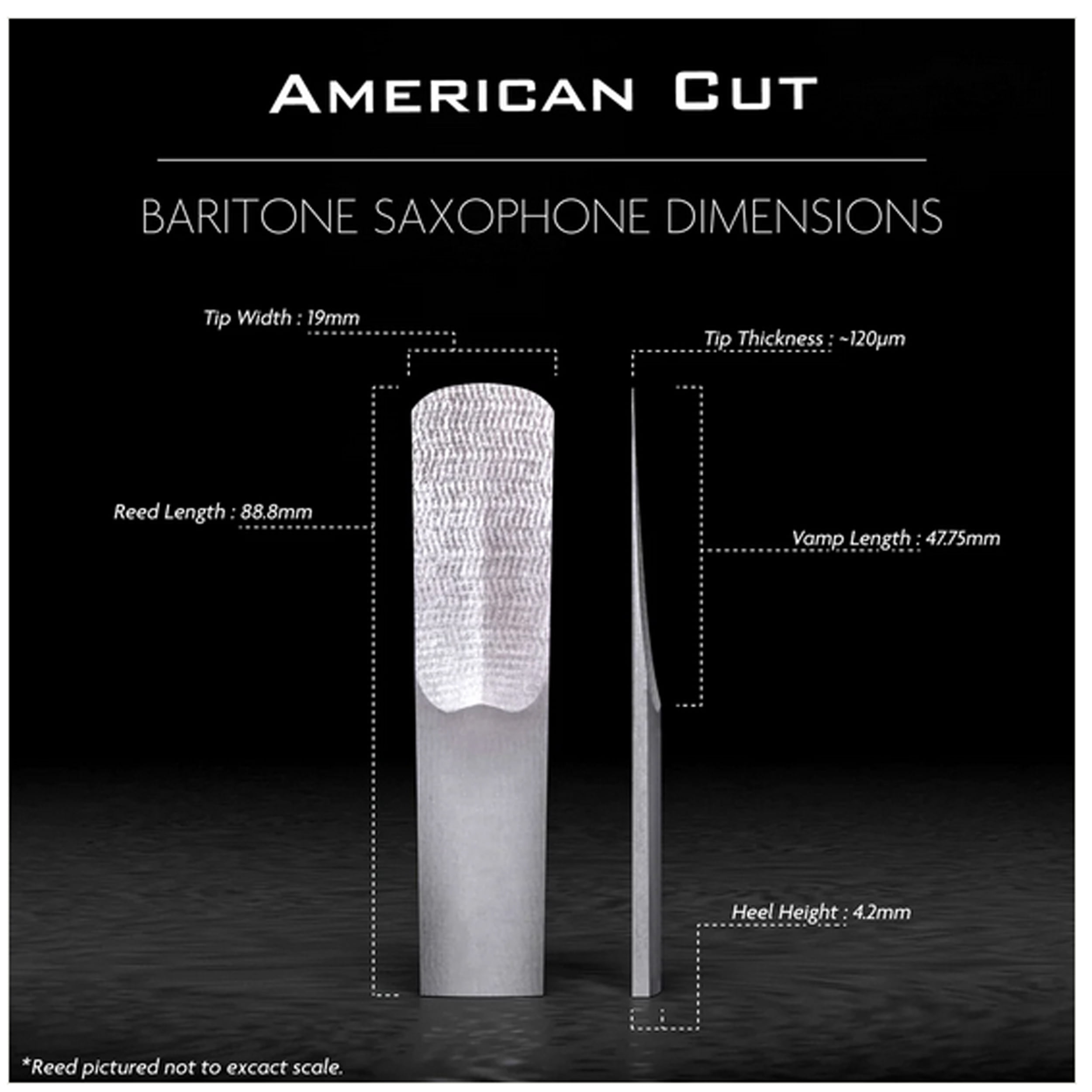 Legere Reeds Baritone Saxophone American Cut Reed 2.5