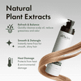 thumbnail image 6 of Alfheim Rosemary+ Purifying Leave-in Spray 5.4oz | Vegan Formula, Refreshing Scalp & Hair Mist, Balances Oil, Smooths Frizz & Adds Volume for Fine or Oily Hair, 6 of 10