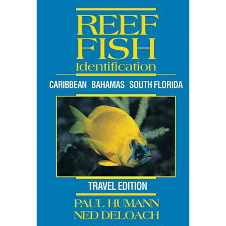 Reef Fish Identification : Caribbean Bahamas South