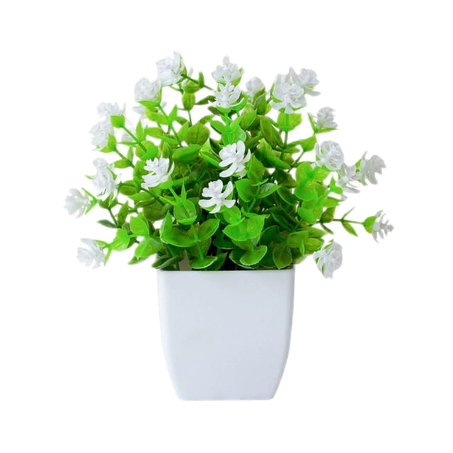 Oliegs Verdure Réaliste de Bureau en Pot pour la Maison