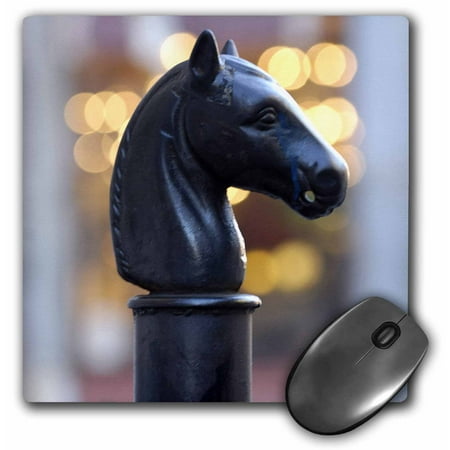 3dRose Hitching Post, New Orleans, Louisiana - US19 FVI0011 - Franklin Viola, Mouse Pad, 8 by 8 inches