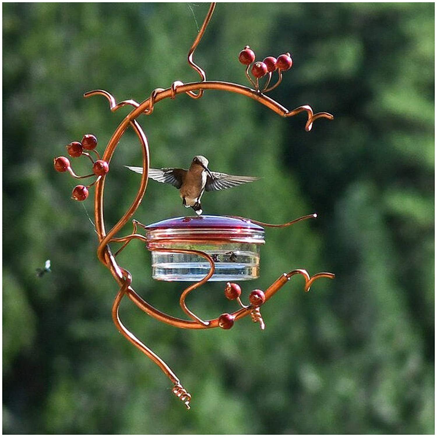 Best Hummingbird Feeder with Hole Birds Feeding Pipe Red Transparent Tube 