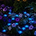 thumbnail image 4 of 50 PCS Glow in The Dark Rocks - Color Luminous Stones Starfish-Shaped Sea Aquarium Glow Stones Fish Tank Rocks Outdoor Decor Garden Yard Walkway Pathway, 4 of 6