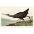 thumbnail image 2 of Audubon, John James 32x22 Gold Ornate Wood Framed with Double Matting Museum Art Print Titled - Scolopaceus Courlan, 2 of 4