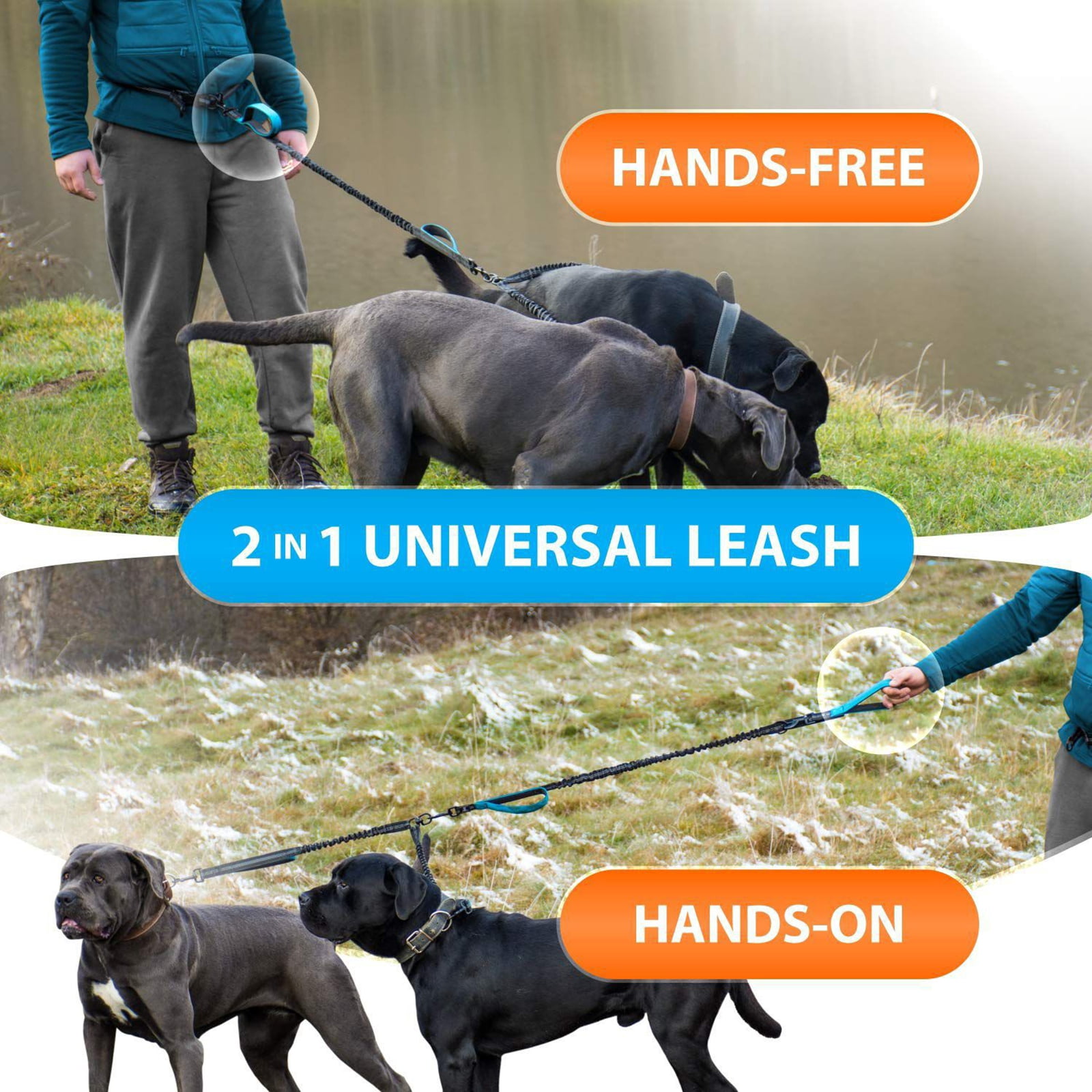 Levviye Double Dog Leash Bungee Multi-Functional Hands-Free Durable with Padded Handles for Fitness Exercise, Grey