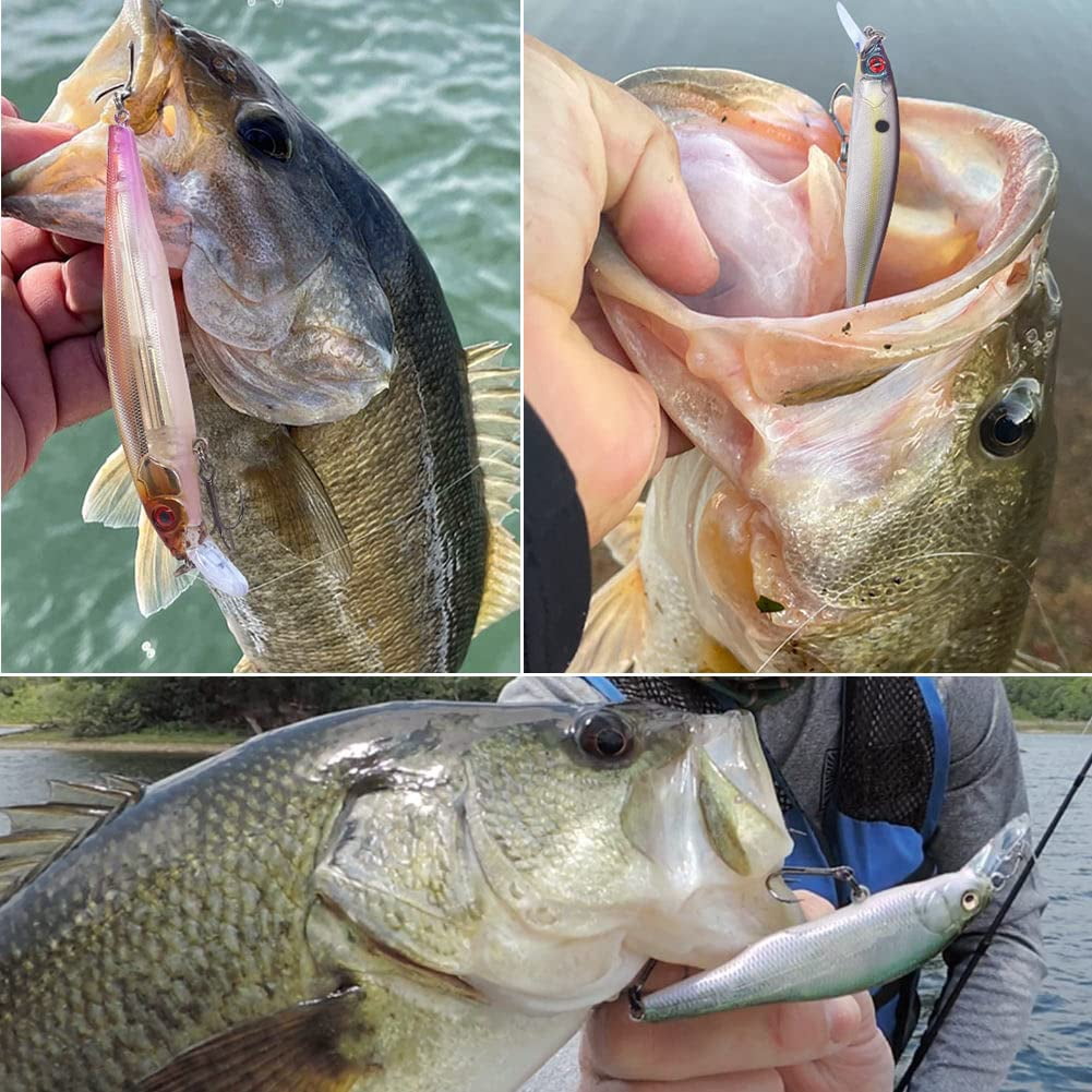 Jerkbait Kit - Minnow Lure Suspending Bass  Smallmouth Walleye Largemouth 1 Piece