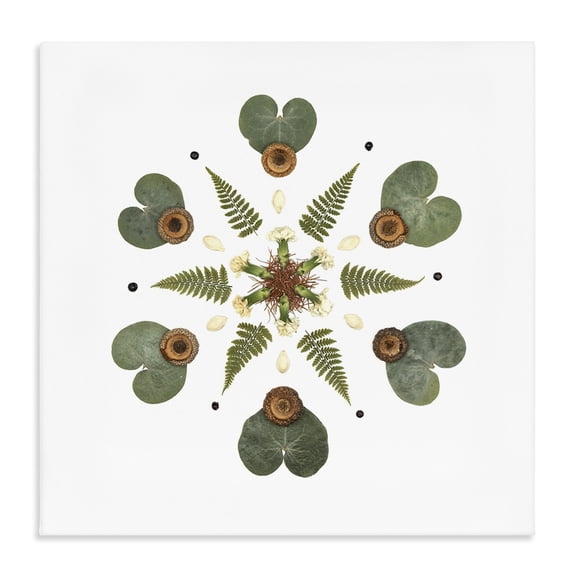 Stupell Industries Eclectic Lily Pad & Fern Mandala Canvas Art, 17 x 17, by Beth Adoette