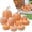 E, variant on BinKFF 7 Pcs Plastic Pumpkins for Decorating - Artificial Foam Pumpkins for Fall Decor, Thanksgiving, Halloween, Wedding & Party, DIY Craft Fake Pumpkin for Table Centerpiece