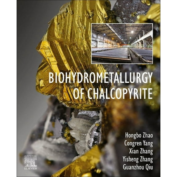 Biohydrometallurgy of Chalcopyrite, (Paperback)