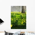 thumbnail image 1 of Daffodils St James's Park Wall Mural by Wallmonkeys Peel and Stick Graphic (24 in H x 16 in W) WM254868, 1 of 4
