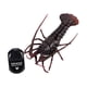 thumbnail image 1 of Cangrejo RC de simulación,Cangrejo RC de simulación,Animal de coche de vehículo de control remoto realista, 1 of 9