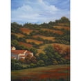 thumbnail image 3 of Rhyan, Vivien 11x14 Black Modern Framed Museum Art Print Titled - Italian Countryside II, 3 of 5