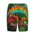 thumbnail image 2 of Lsque Chameleon Mens Sleep Pajama Shorts,Short Pajama Pants, Cotton Ultra-Soft Knit-Small, 2 of 9