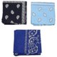 thumbnail image 1 of 3 Bandanas Man And 57 X 57 Cm Royal Blue + + Navy Blue, 1 of 5