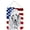 Poodle #3, variant on Carolines Treasures SC9626DS1216 Black Standard Poodle with American Flag USA Wall or Door Hanging Prints 12x16