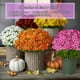 thumbnail image 2 of Lifelike Artificial Flowers Bouquet Real Touch Faux Botanicals for Home Decor Wedding Centerpiece Office Arrangement Outdoor UV Resistant Fade Proof, 2 of 2