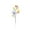 Khaki, variant on Ympkerial Easter Table Centerpiece Kit with Colorful Egg Picks and Artificial Bloom Branches for Spring Home Decor and Versatile Interior Arrangements Includes Multiple Decorative Components