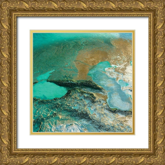Sophie 6 15x15 Gold Ornate Wood Framed with Double Matting Museum Art Print Titled - Earthly Jewels
