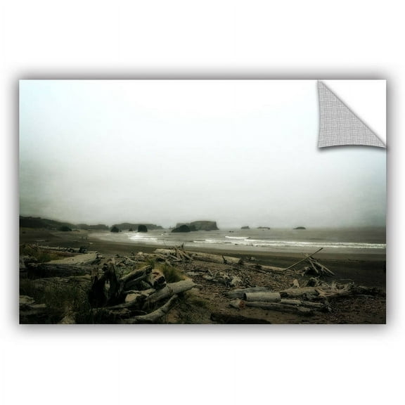 ArtWall Kevin Calkins "Driftwood and Seastacks" ArtAppealz Removable Wall Art