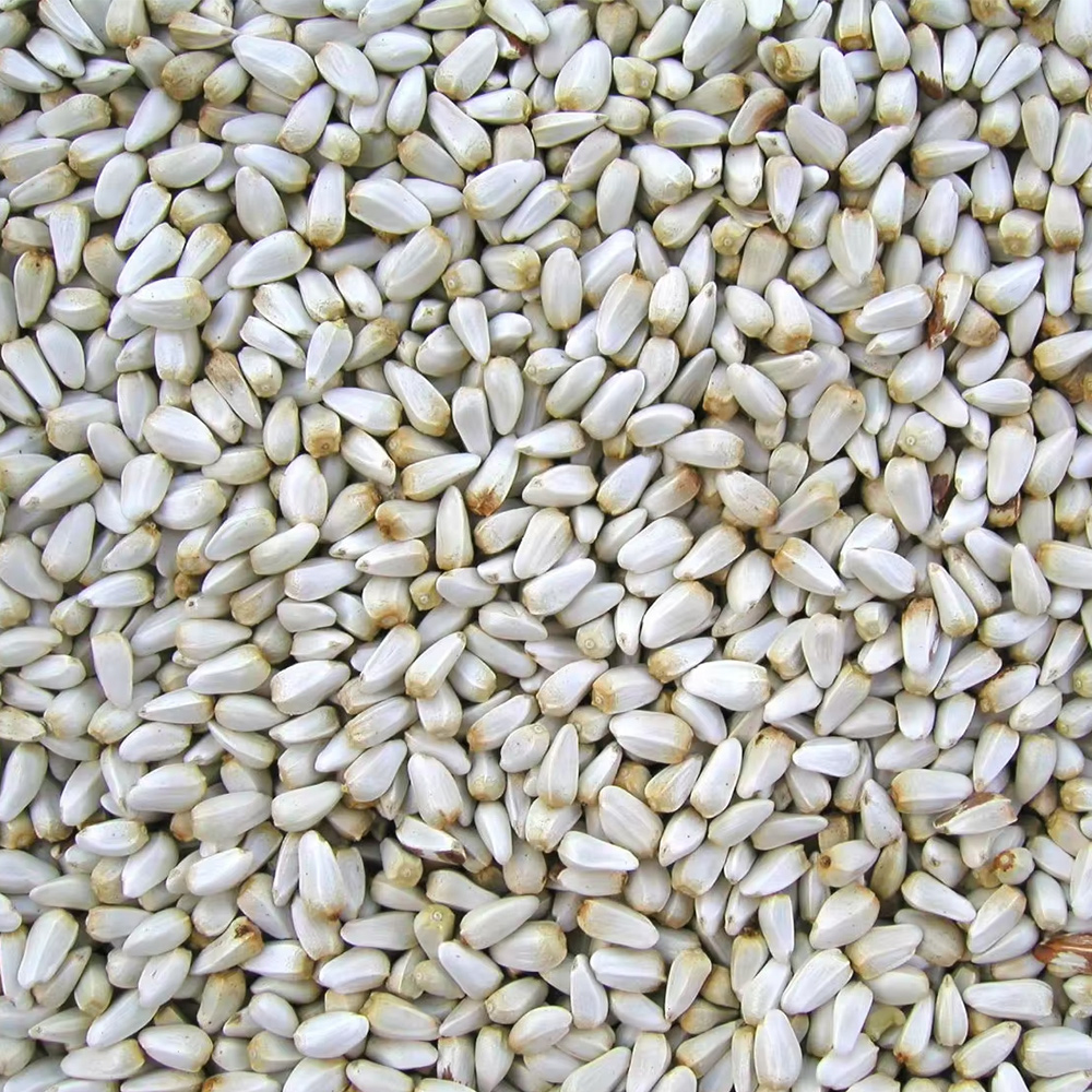 Happy Wings Safflower Seed Wild Bird Food, 4 Lb photo 7