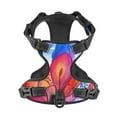 thumbnail image 4 of Bingfone Bright Flowers No Pull Dog Vest Harness For Small Medium Large Dogs Strap For Puppy Walking,Training,Dog Harness-Small, 4 of 9