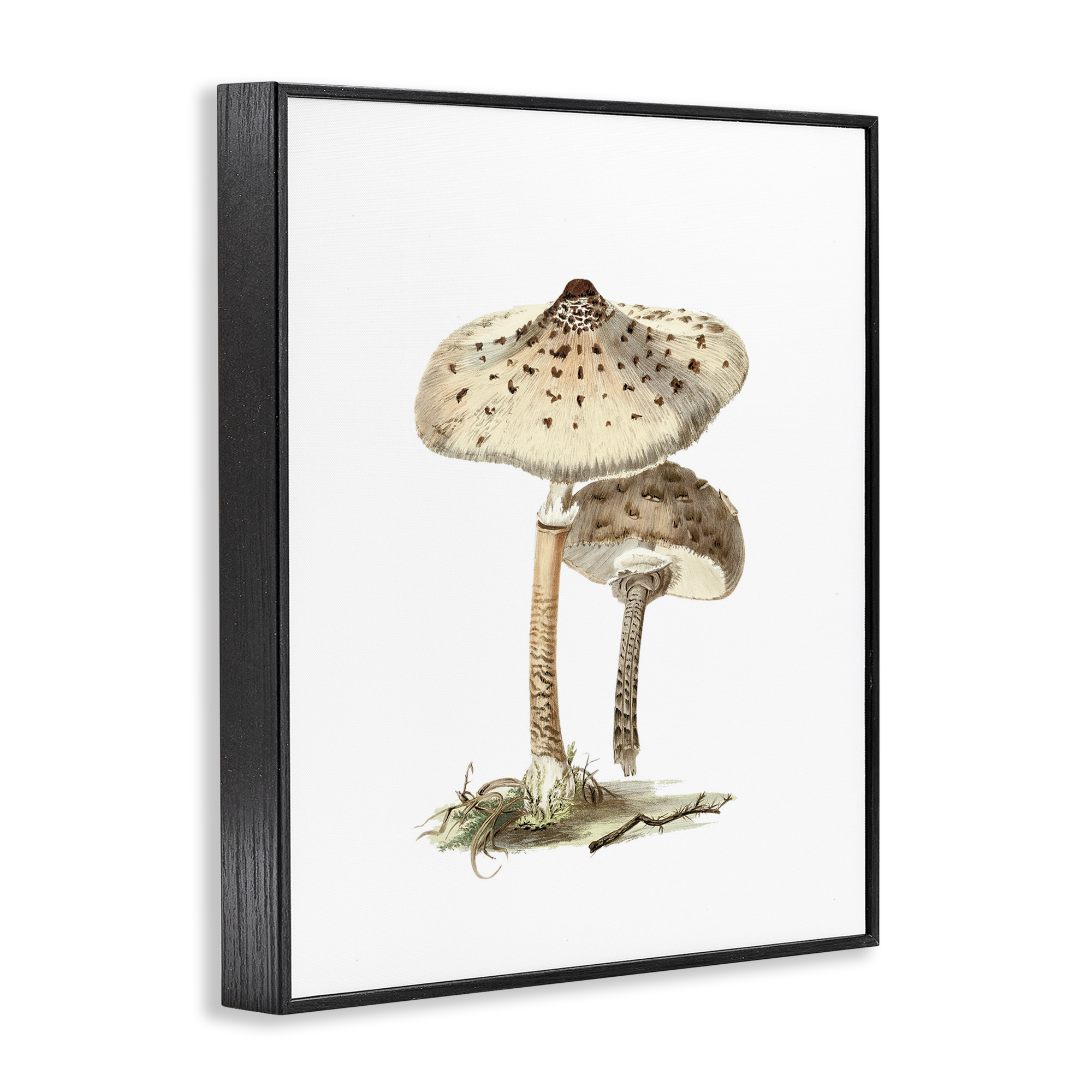 Stupell Industries Neutral Brown Mushrooms Botanical & Floral Painting Black Framed Art Print Wall Art, 11 x 14