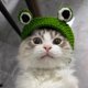 thumbnail image 5 of Gorra verde (S adecuada para gatos) Sombrero divertido Sombrero divertido Gorra con forma de rana de dibujos animados Color verde Todo fósforo JM, 5 of 5