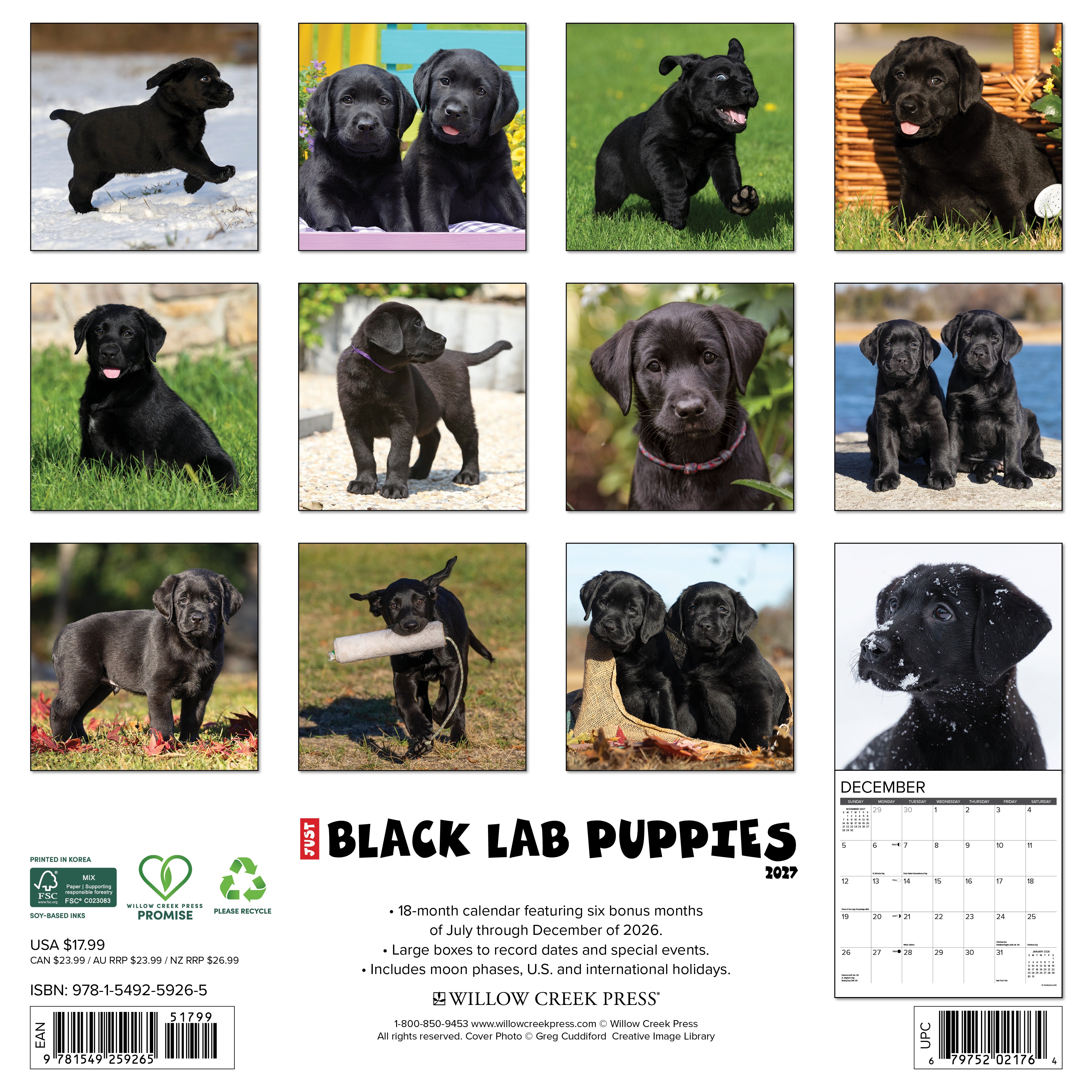 Willow Creek Press, Black Lab Puppies 2027 Wall Calendar