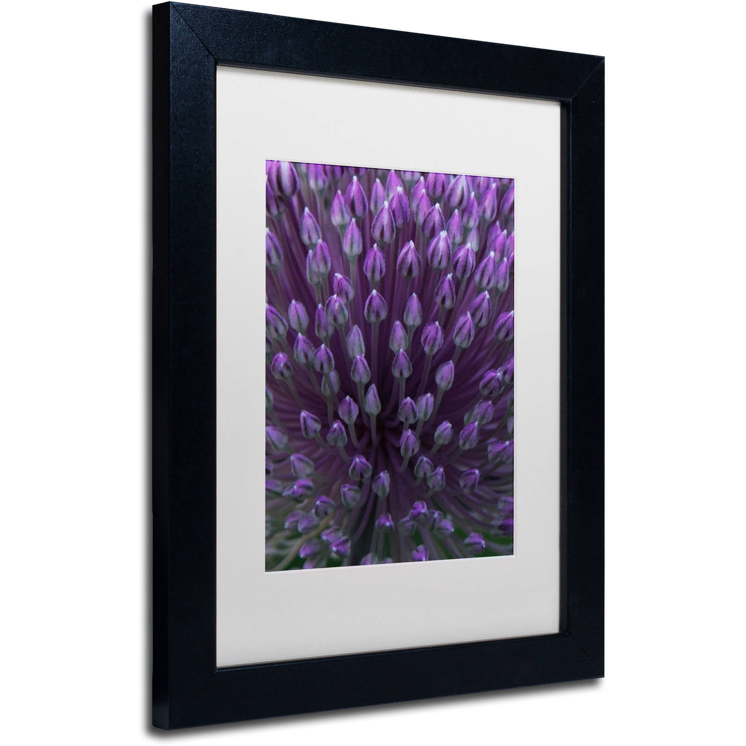 Trademark Fine Art "Alien Flower Pods" Canvas Art by Kurt Shaffer, White Matte, Black Frame