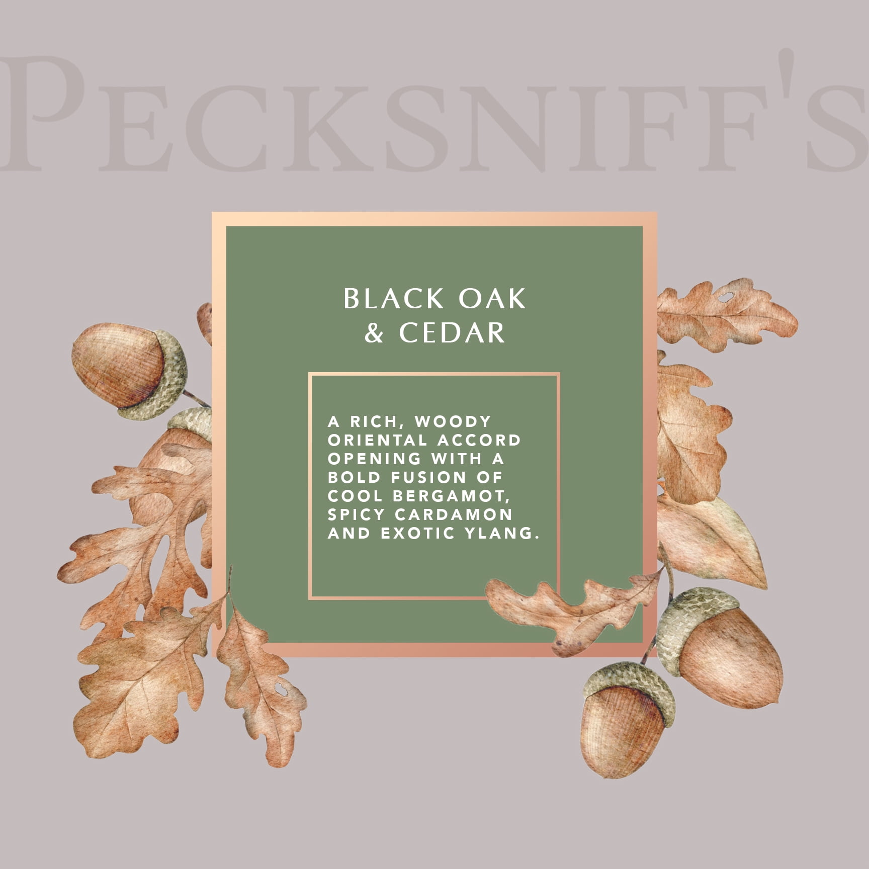 Pecksniffs Prestige Black Oak & Cedar Bath Soak Decanter | 500ml/16.9 Fl Oz