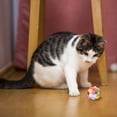 thumbnail image 6 of Ke1Clo Cat Toys for Indoor Cats, Interactive Cat Toy Funny Stretch Colorful Ball Cat Toys for Indoor Cats Interactive Cat Toys, 6 of 6