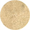 thumbnail image 1 of Slipmat Slip Mat Scratch Pad Felt for any 12" LP DJ Vinyl Turntable Record Player Custom Graphical - Dry Dirt, 1 of 1