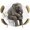 Grey1, variant on Elastic Fitted Round Tablecloth, Funny Elephants Waterproof Stretch Table Cover for 36"-44" Tables, Cute Art Fun Lovely Animals on Toilets Washable Outdoor Tablecloths for Patio, Picnic, Camping