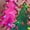 a_Pink, variant on $15 & under Xysaqa Women's Nightgown Fashion Christmas Tree Print Nightshirts for Women Soft Comfy Sleep Shirt Casual Loungewear Short Sleeve Sleepwear Purple M