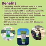 Boogie Insect Repellent Lotion, 6 fl oz, with 20% Picaridin for Up to ...