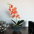 thumbnail image 2 of Vickerman 20.5" Orange Orchid in Oval Container, 2 of 2