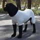 thumbnail image 4 of Sinknap Summer Dog Clothes Breathable Anti-uv Elastic Large Dog Sun Protection Clothing Pet Four-legged Clothes, 4 of 5