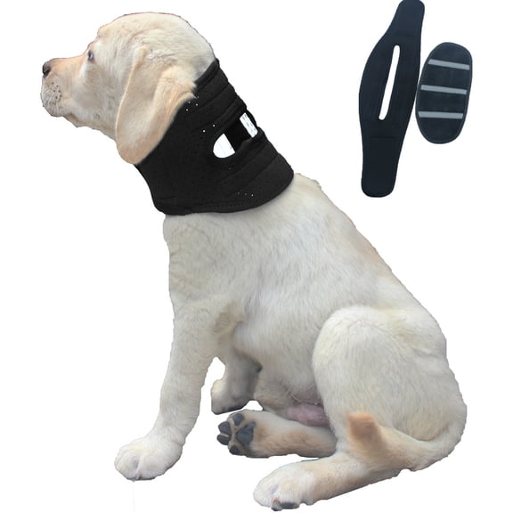 Dog Neck Brace Offers Support for Pets Suffering from Intervertebral Disk Disease Cervical Vertebral Sprains and Instability-Specialized Neck Brace Specifically for Dogs(S)