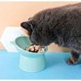 thumbnail image 3 of Simulated Prey Experience, Two Modes Of Operation For Engaging Play, Catnip And Rattle Toy Ideal For Indoor Cats, Perfect Size For Pouncing On, Chasing, Hunting, 3 of 5