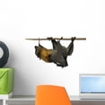 thumbnail image 1 of Fruit Bat Flying Fox Wall Mural by Wallmonkeys Peel and Stick Graphic (18 in W x 12 in H) WM303830, 1 of 4