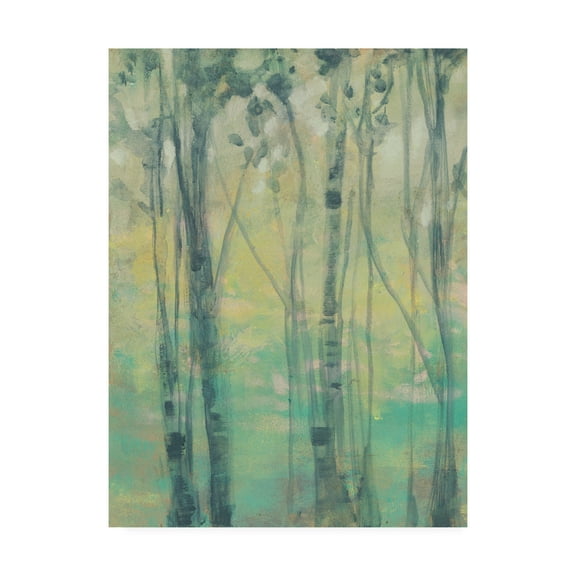 Trademark Fine Art 'The Light in the Trees I' Canvas Art by Jennifer Goldberger