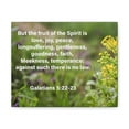 thumbnail image 6 of Scripture Walls Gentleness Goodness Faith Galatians 5:22-23 Bible Verse Canvas Christian Wall Art Ready to Hang Unframed, 6 of 7