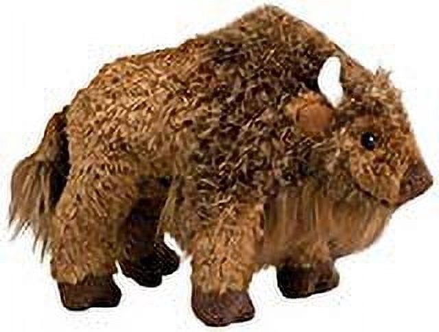 Douglas Sue Buffalo