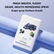 thumbnail image 3 of Xihbxyly Vital Peach Spray Oral Fresh Fresh Cuidado Oral Refrescante Portátil 20Ml, 3 of 3